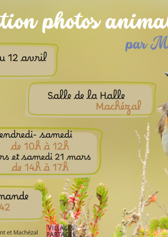 Visuel