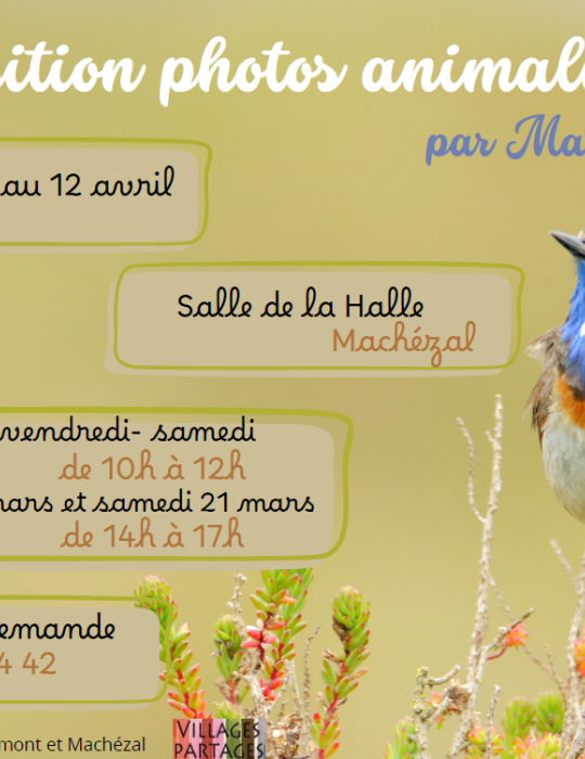 Visuel